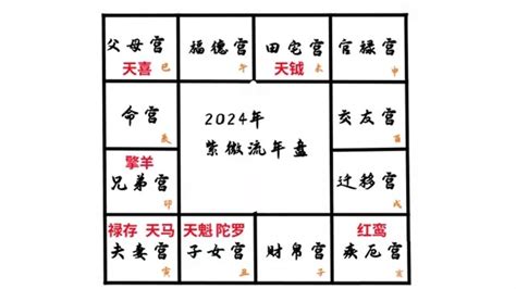 2024流年四化|震豐八字：紫微斗數2024流年命盤詳解